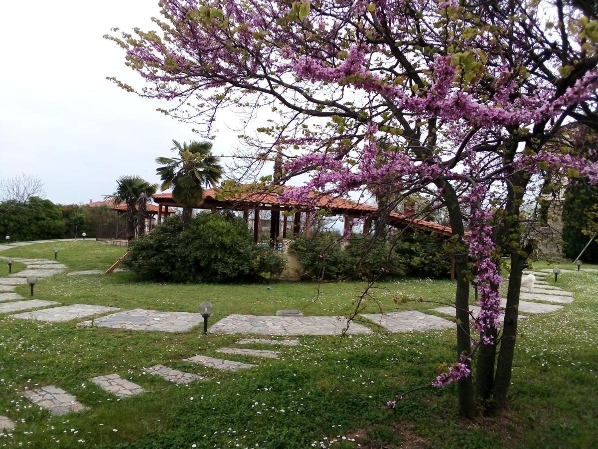Villa Anna Leptokarya  Exterior foto